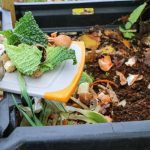 Inovasi Kompos dari Sampah Dapur: Solusi Ramah Lingkungan di Rumah