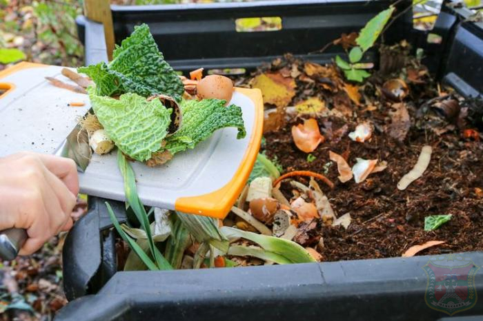 Inovasi Kompos dari Sampah Dapur: Solusi Ramah Lingkungan di Rumah